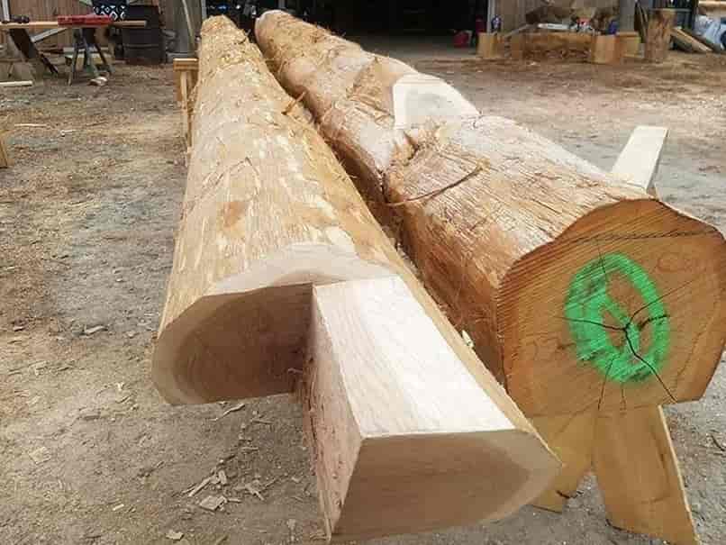 debarked logs