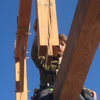 Setting a timber in a timber frame barn raising