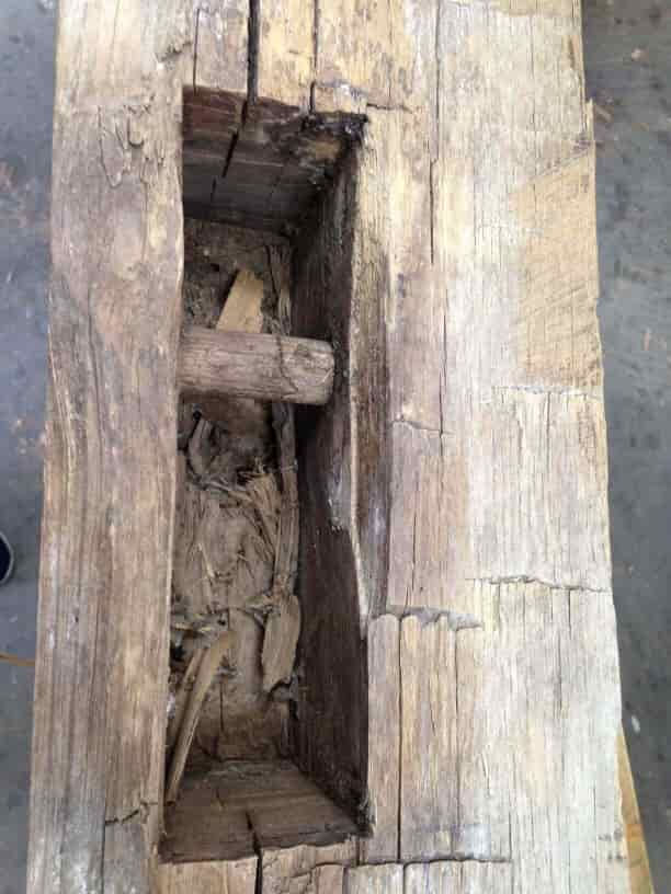 original mortise - peg in 150 year old timber