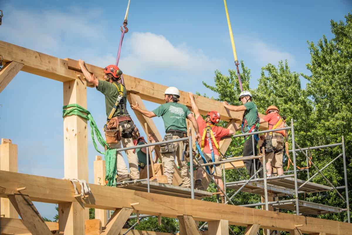 Setting a beam in timber frame raising